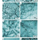Image for article titled Wood Nanocrystals Are Like Carbon FIber Only Lighter, Stronger, And Cheaper